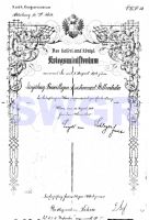 1914 Ernennung zm EJF Assistenzarzt Stellvertreter